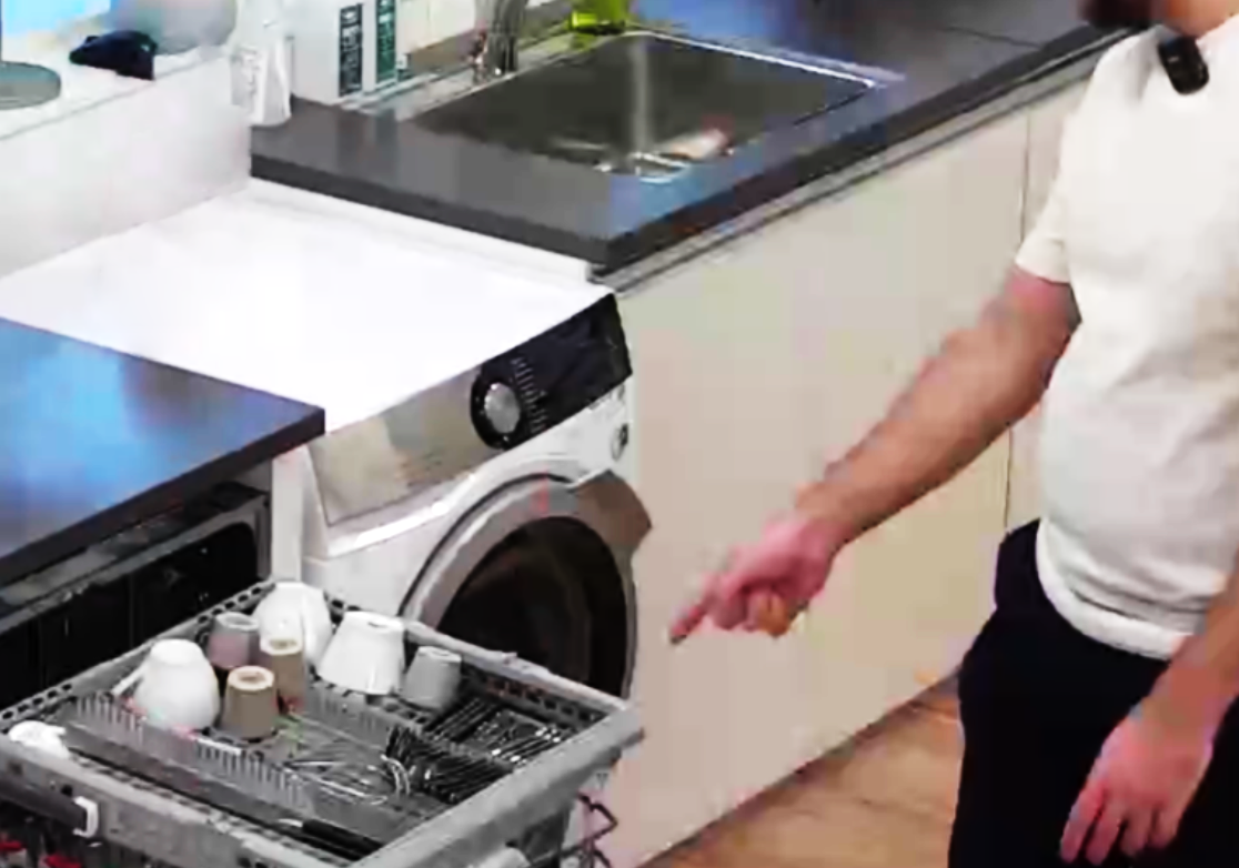 RISE: Hardware Usability Testing for Dishwasher Features